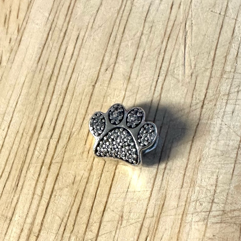 Pandora charm